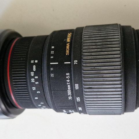 Sigma Apo DG 70-300