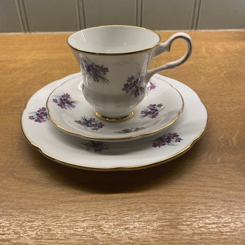 Royal grafton kaffe service