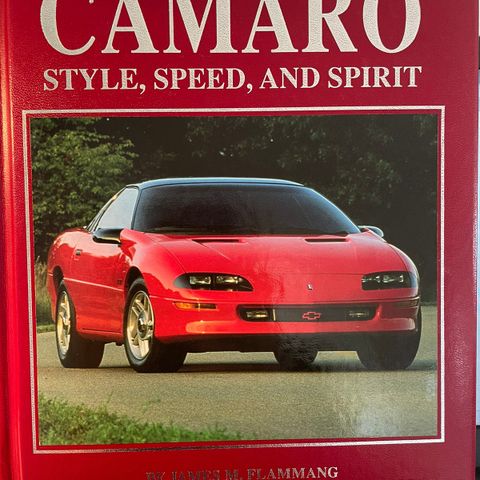 Camaro, consumer guide