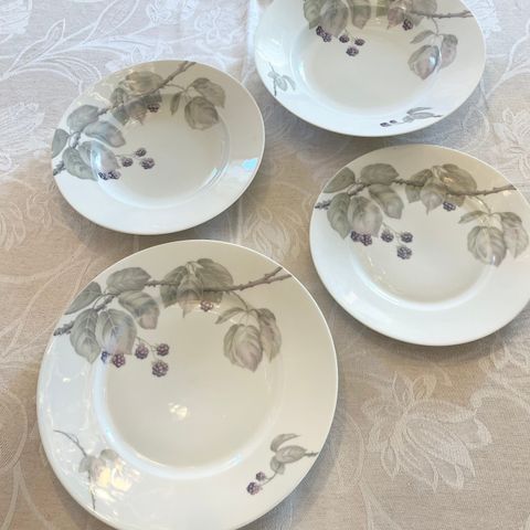 Stort og lekkert Vintage Rosenthal-servise