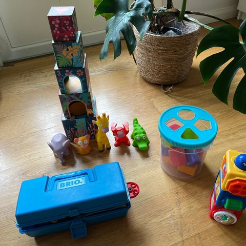 Fisher price, Djeco, Brio