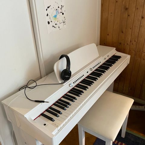 DP-6 Digital Piano