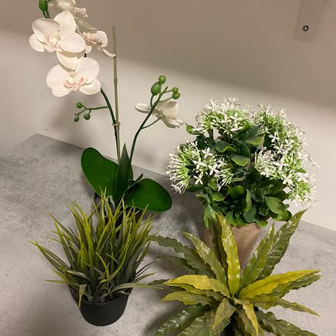 4 Kunstige planter