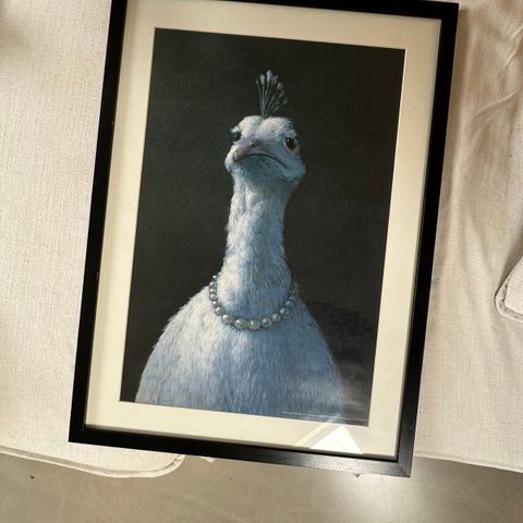 poster fowl with pearls med ramme