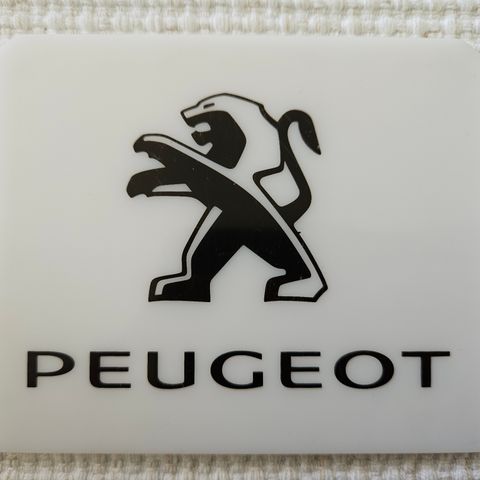 Isskrape Peugeot til bil
