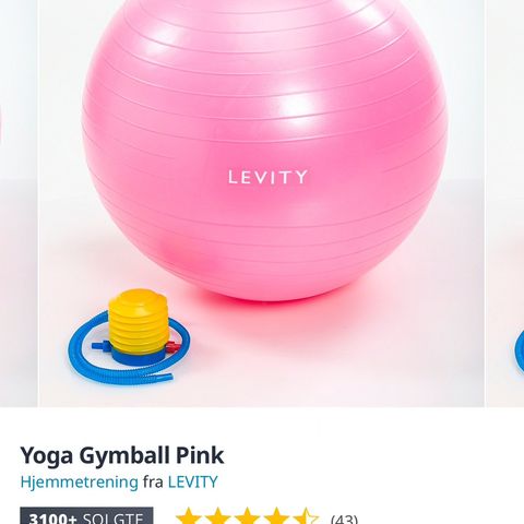 levity gym ball pink