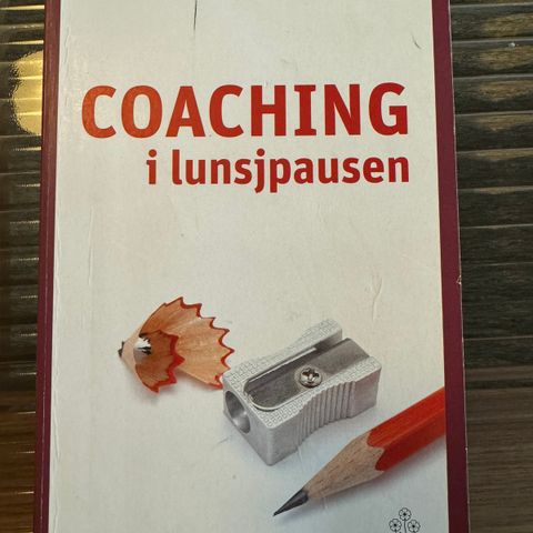 Berit Mannseth - Coaching i lunsjpausen