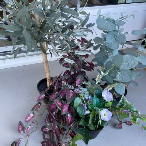 Kunstige planter (Oliventre mm)