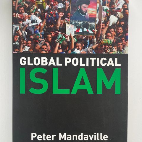 Peter Mandaville 2007 - Global Political Islam