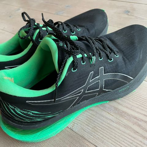 Asics Kayano herre str 46