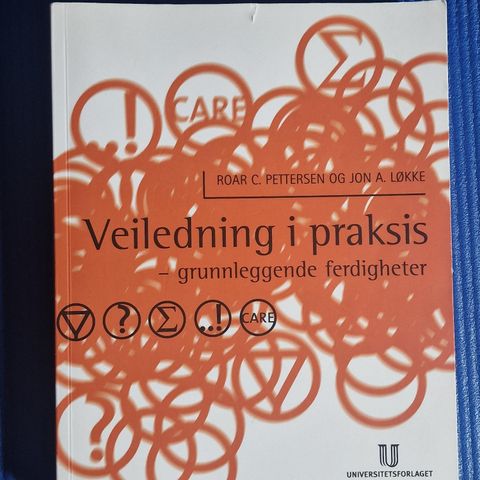 Veiledning i praksis