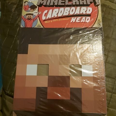 Minecraft cardboard head Steve