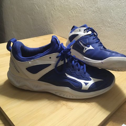 Mizuno Ghost Shadow str. 42