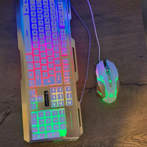 Gamingtastatur og mus