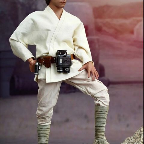 Hot Toys Luke Skywalker (A New Hope)