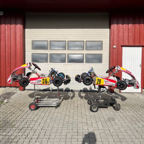 Birel art s14