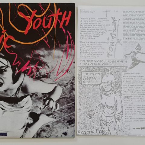 Sonic Youth - EVOL Lp Vinyl  Selges