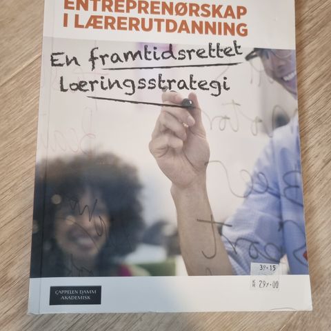 Pedagogisk entreprenørskap i lærerutdanningen av Ødegård