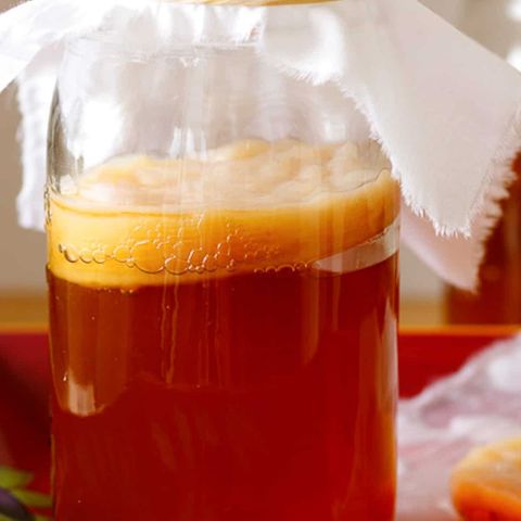 Kambucha SCOBY