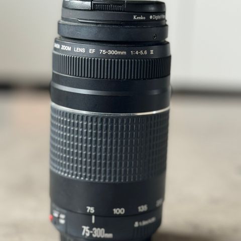 Canon 75-300 mm lens