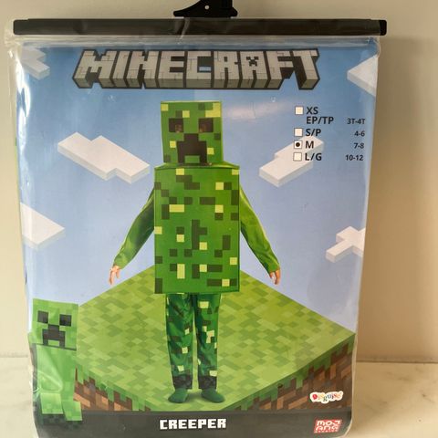 Kostyme Minecraft