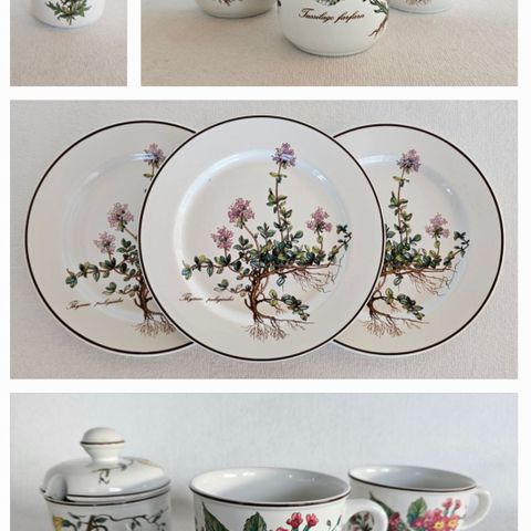 Villeroy & Boch. Botanica.