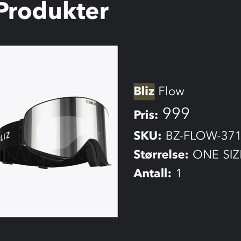 Bliz Flow Alpin/Slalombriller Grå