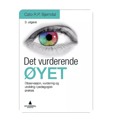 Det vurderende øyet