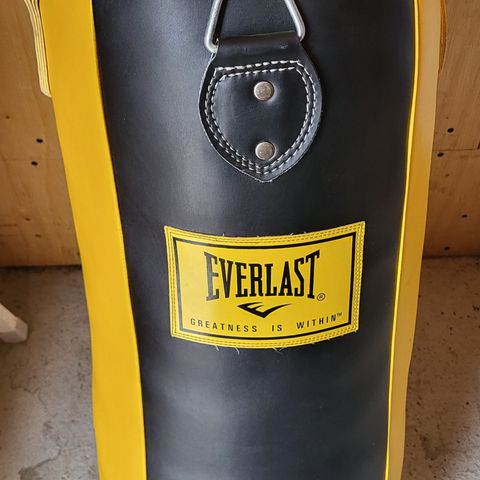Everlast Punching Bag (Boksesekk)
