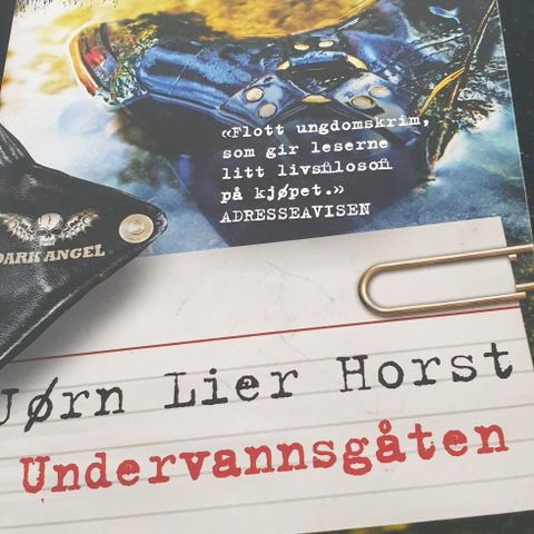 Undervannsgåten av Jørn Lier Horst