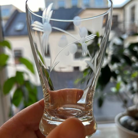 Vintage graverte seltersglass