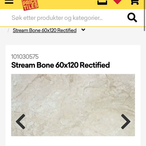 60x120 flis stream bone rectified