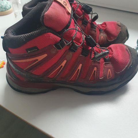 Salomon gtx sko