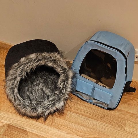 Cat house and backpack