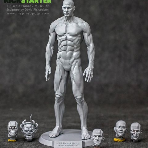 Unik anatomi figur, David Richardson Male Planar Figure Kickstarter