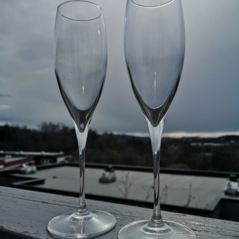 Champagneglass (8stk.)