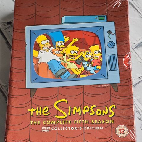 The Simpsons sesong 5 DVD