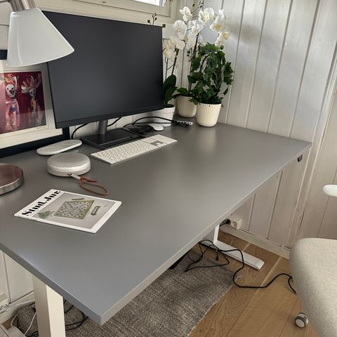 IKEA Rodulf hev/senk-skrivebord