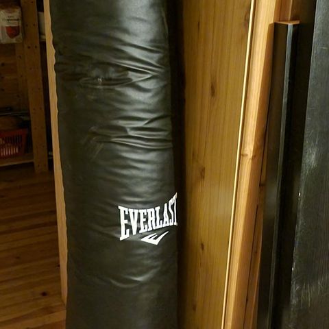 Everlast MMA heavy bag