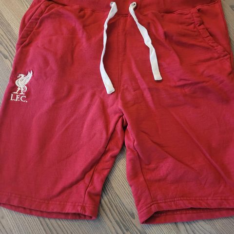 Liverpool shorts str XL