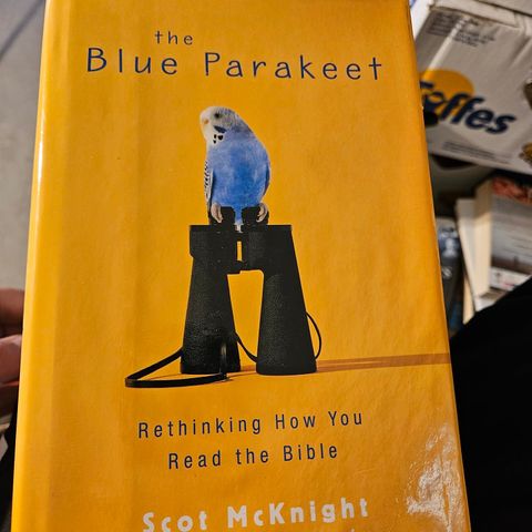 The blue Parakeet, rethinking how you read the bible