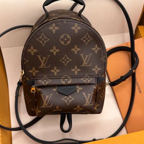 Louis Vuitton Palm Springs Mini