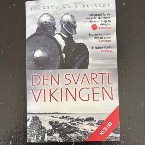 Bergsveinn Birgisson - Den svarte vikingen