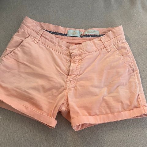 Morris Stockholm, Morris Lady Chino Shorts