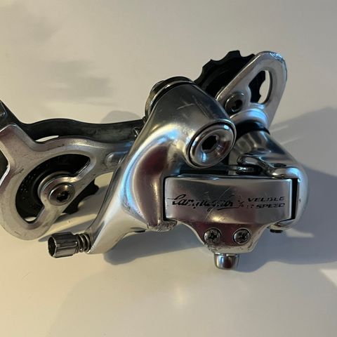 Campagnolo Veloce 9 Speed Bakgir