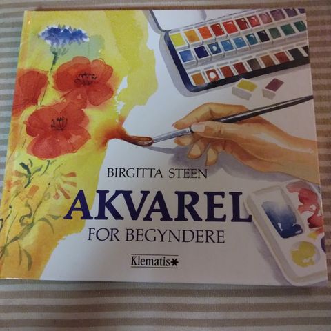 Akvarell for begyndere, Birgitta Steen