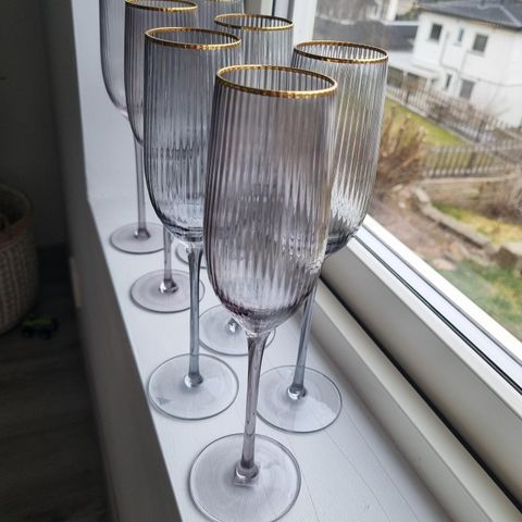 Ny champagneglass i lysegrå