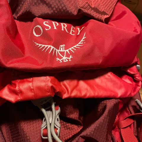 Osprey Ace 38 barn- og juniorsekk 2 stk