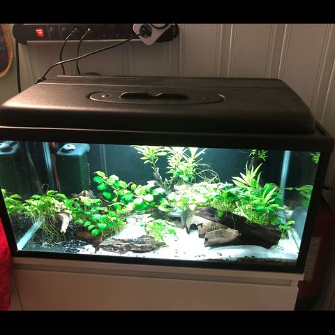 105 liter akvarium