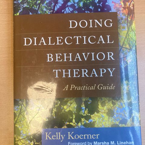Doing dialectical behavioural therapy
